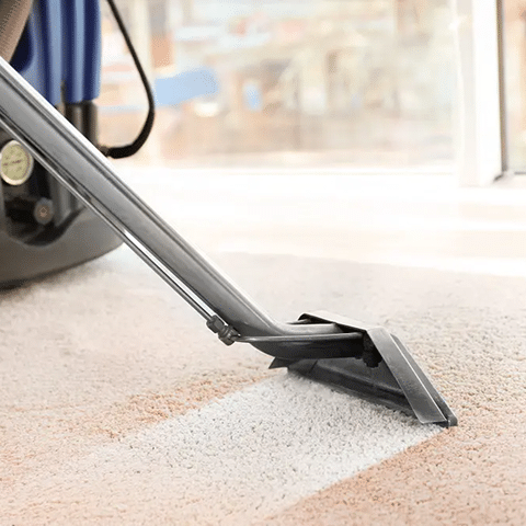 A vacuum angled with a light cleaning a carpet